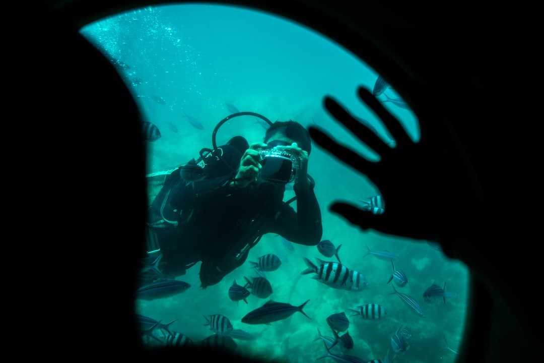 AI Image Tagging Deep Dive