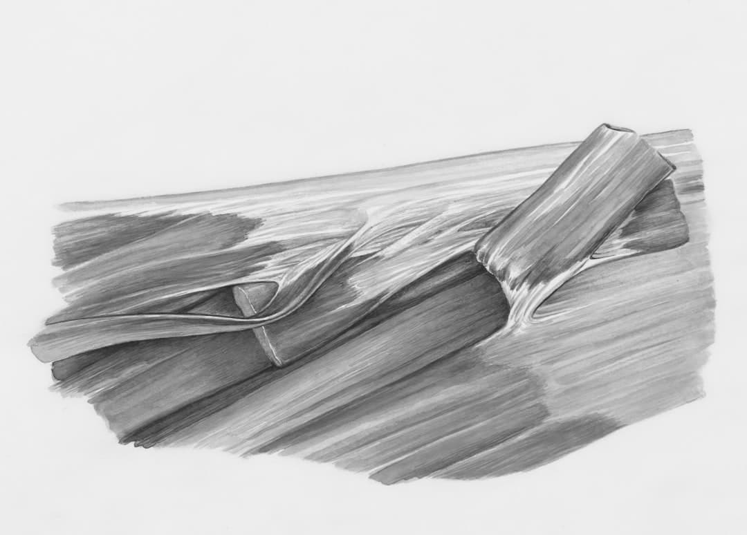 The Anatomy of a Perfect Folder Structure