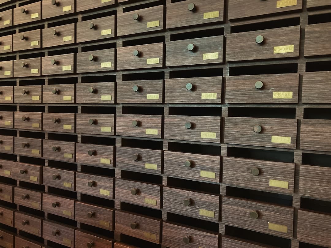 Organizing a Family Archive