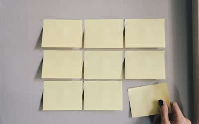 Looking Ahead: Our Roadmap for Q3 and Q4